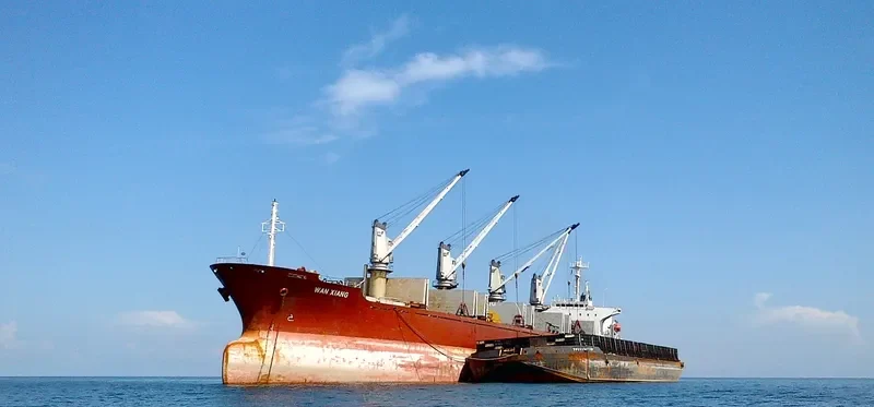 SEA SMILE Bulk Carrier IMO 9082738 photo 5