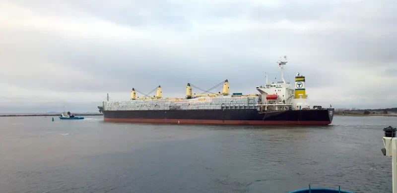 ELISSEOS Bulk Carrier IMO 9082740