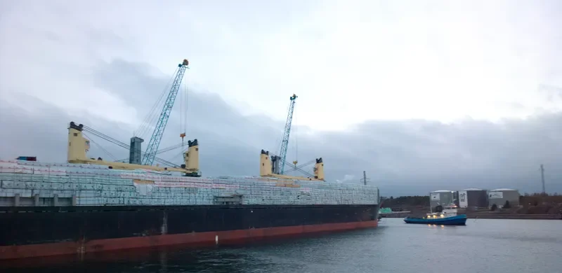 ELISSEOS Bulk Carrier IMO 9082740 photo 3