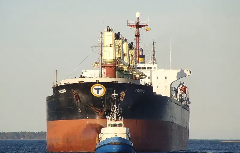 ELISSEOS Bulk Carrier IMO 9082740 photo 4