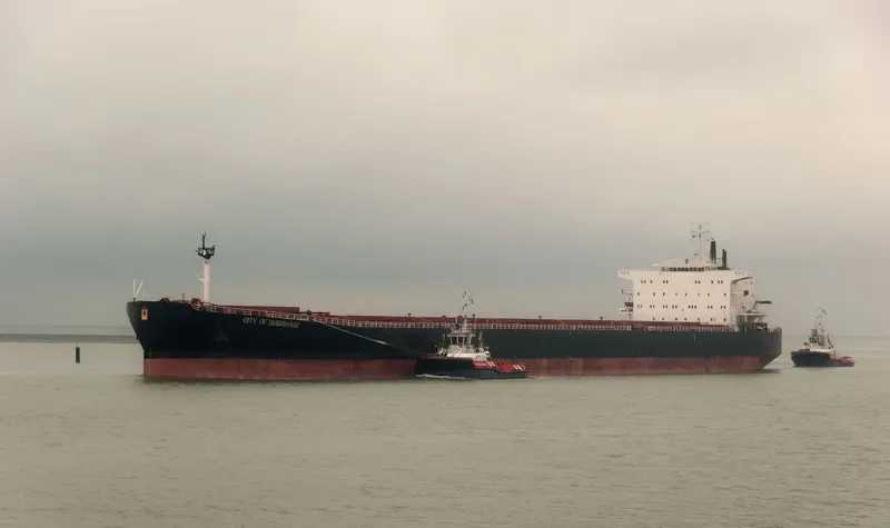 WUYI HK Bulk Carrier IMO 9082881 photo 4