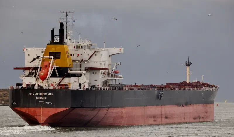 WUYI HK Bulk Carrier IMO 9082881 photo 6