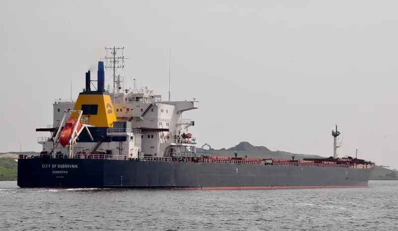WUYI HK Bulk Carrier IMO 9082881 photo 10