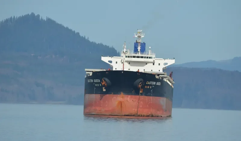 YUE DIAN 9 Bulk Carrier IMO 9082922 photo 2