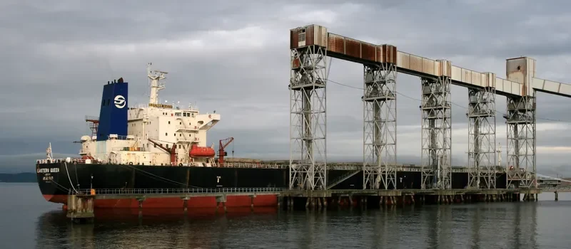 YUE DIAN 9 Bulk Carrier IMO 9082922 photo 6