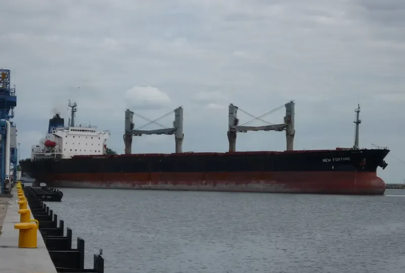 NEW FORTUNE Bulk Carrier IMO 9082946 photo 2