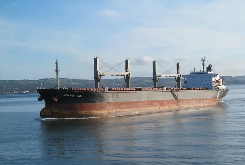 NEW FORTUNE Bulk Carrier IMO 9082946 photo 3