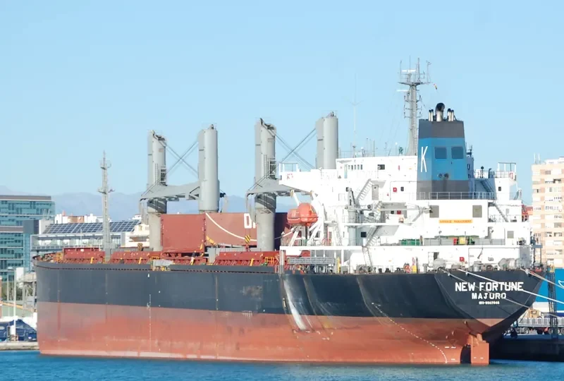 NEW FORTUNE Bulk Carrier IMO 9082946 photo 6