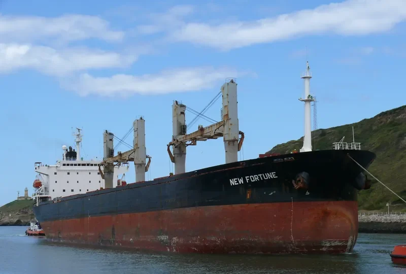 NEW FORTUNE Bulk Carrier IMO 9082946 photo 10