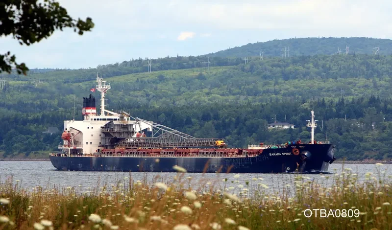BAHAMA SPIRIT Bulk Carrier IMO 9083263 photo 2