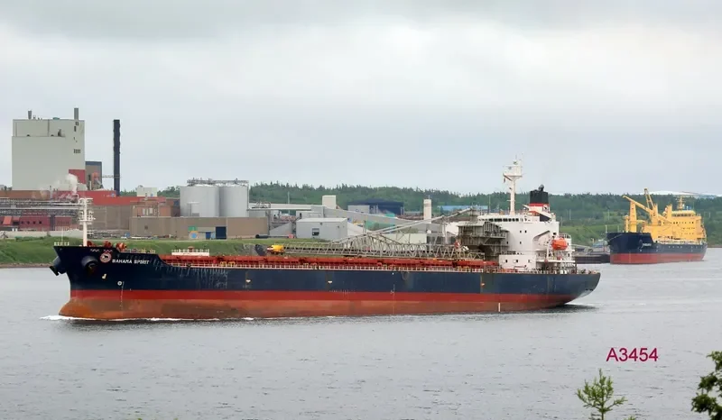 BAHAMA SPIRIT Bulk Carrier IMO 9083263 photo 4