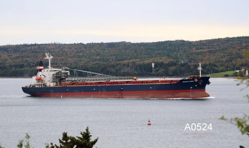 BAHAMA SPIRIT Bulk Carrier IMO 9083263 photo 6