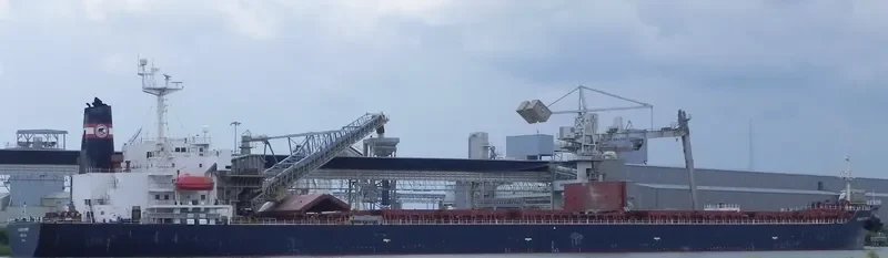 BAHAMA SPIRIT Bulk Carrier IMO 9083263 photo 10