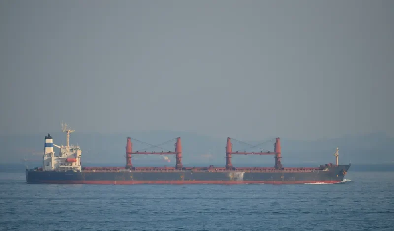 U RICH Bulk Carrier IMO 9083275 photo 6