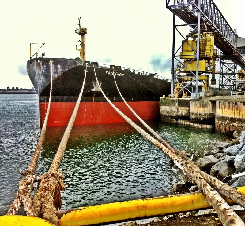 KAYU EBONI Bulk Carrier IMO 9083524