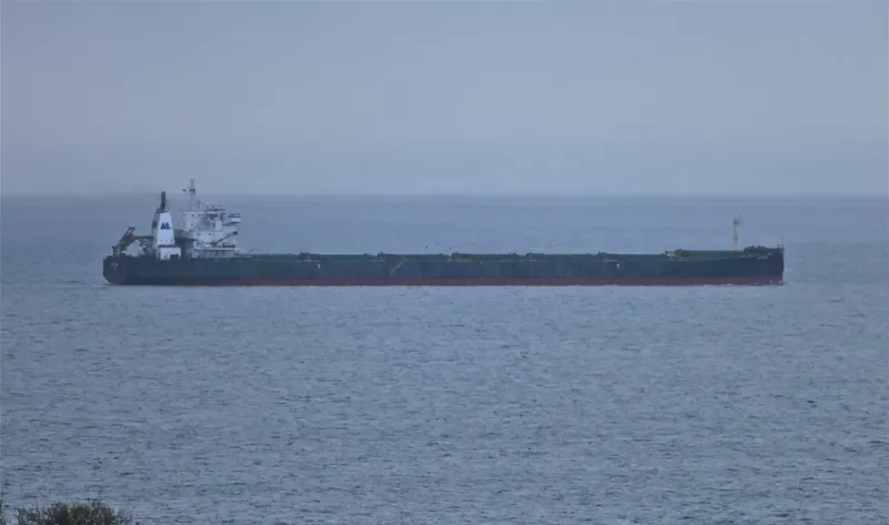 KAYU EBONI Bulk Carrier IMO 9083524 photo 4
