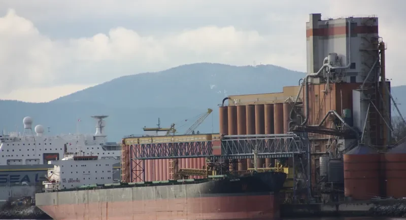 KAYU EBONI Bulk Carrier IMO 9083524 photo 6