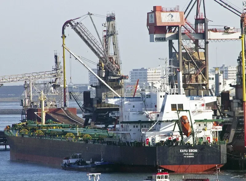 KAYU EBONI Bulk Carrier IMO 9083524 photo 9