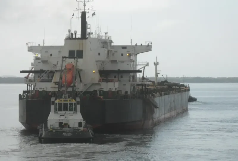 KAYU RAMIN Bulk Carrier IMO 9083536