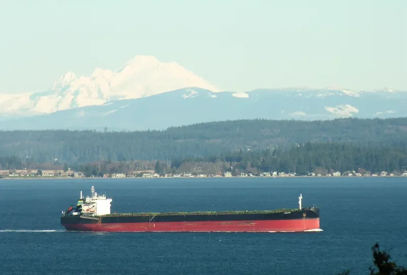 KAYU RAMIN Bulk Carrier IMO 9083536 photo 2