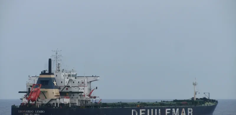 ELITE Bulk Carrier IMO 9083548 photo 2