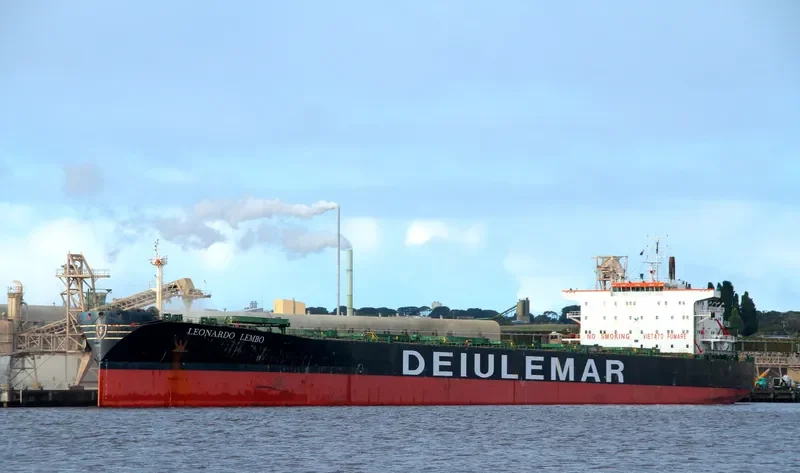 ELITE Bulk Carrier IMO 9083548 photo 6
