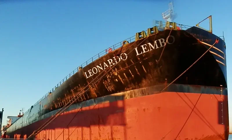 ELITE Bulk Carrier IMO 9083548 photo 7