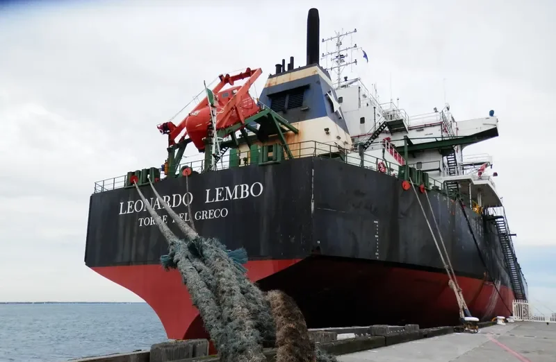 ELITE Bulk Carrier IMO 9083548 photo 8