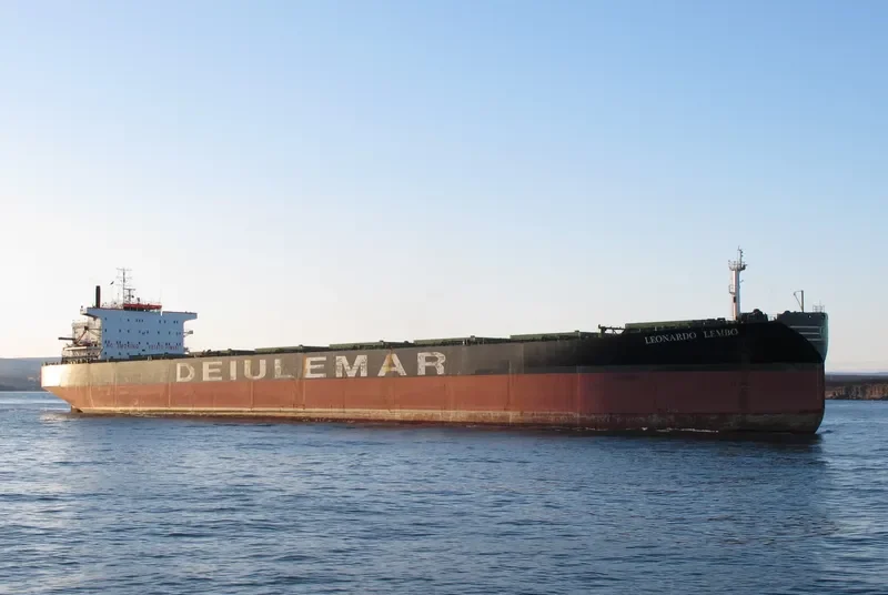 ELITE Bulk Carrier IMO 9083548 photo 10