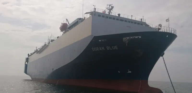 DHARMA RUCITRA VII General Cargo IMO 9083627 photo 2