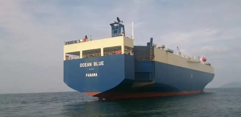 DHARMA RUCITRA VII General Cargo IMO 9083627 photo 3