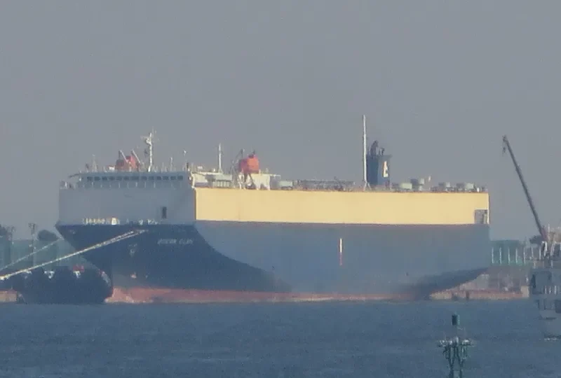 DHARMA RUCITRA VII General Cargo IMO 9083627 photo 4