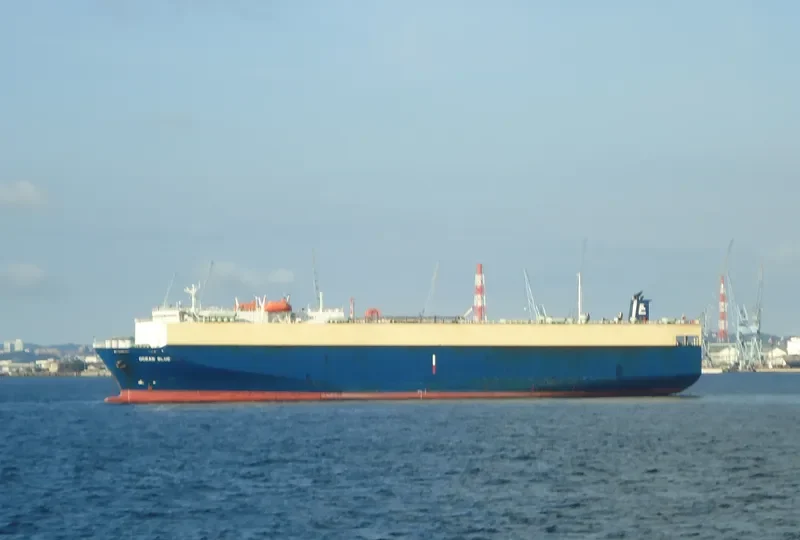 DHARMA RUCITRA VII General Cargo IMO 9083627 photo 7