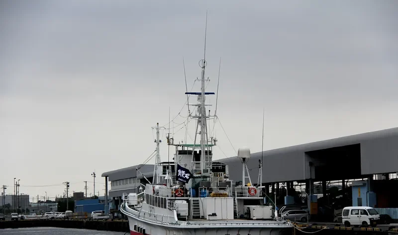 CAP ATLANTIQUE General Cargo IMO 9083653 photo 4