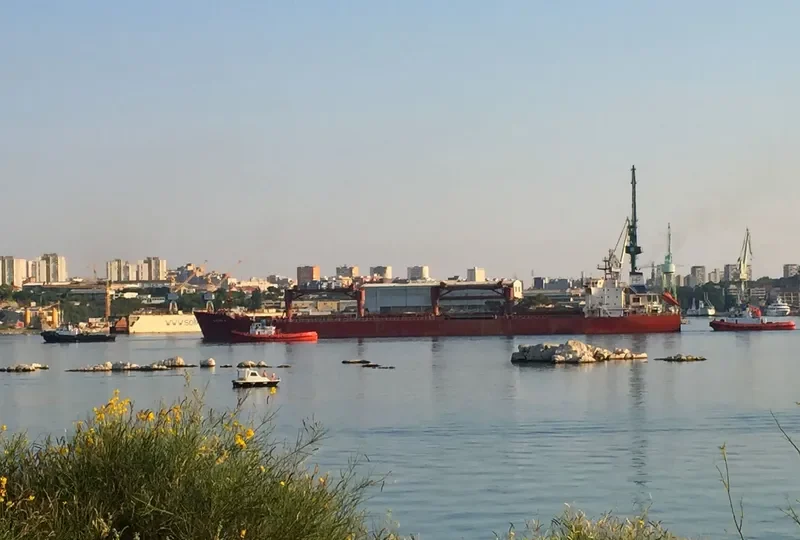 EIRINI K Bulk Carrier IMO 9083811 photo 8