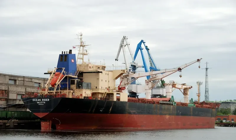 OCEAN RIDER Bulk Carrier IMO 9083823 photo 4