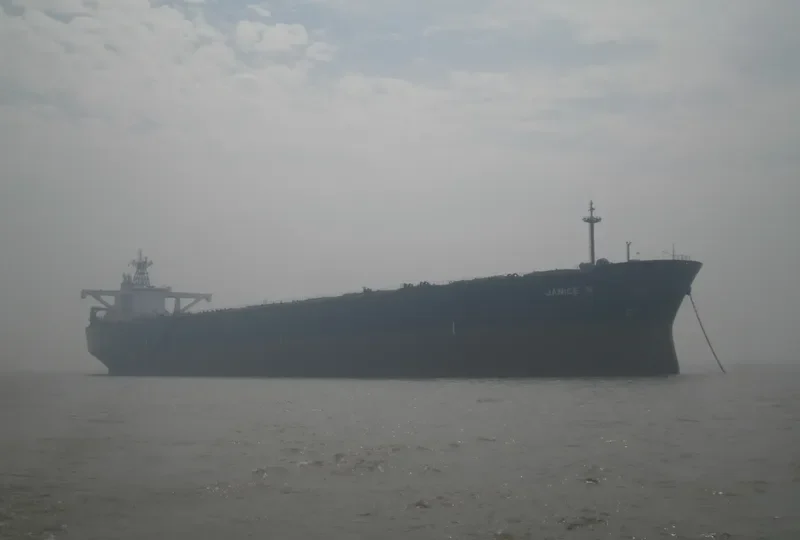 JANICE N Bulk Carrier IMO 9084190 photo 2