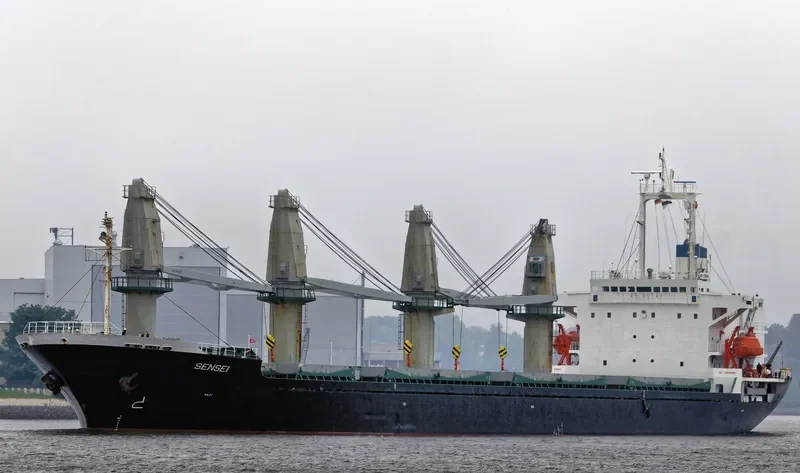 SENSEI Bulk Carrier IMO 9084229