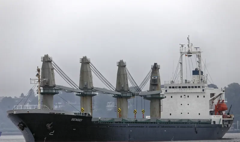 SENSEI Bulk Carrier IMO 9084229 photo 2