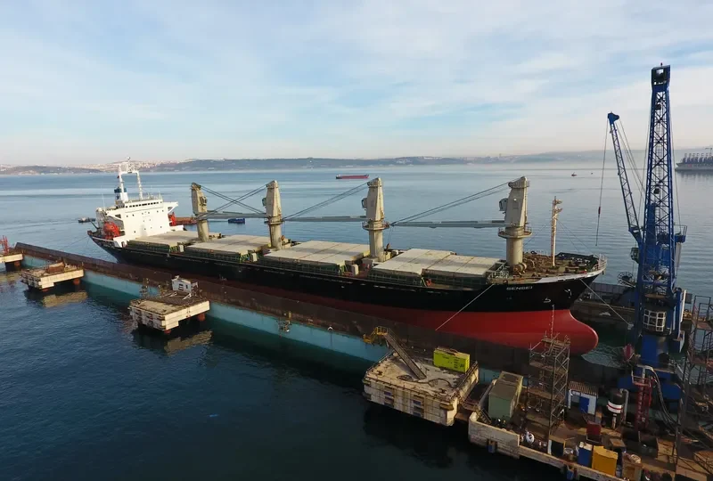 SENSEI Bulk Carrier IMO 9084229 photo 5