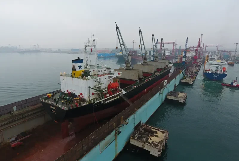 SENSEI Bulk Carrier IMO 9084229 photo 8