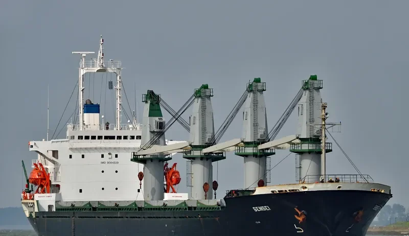 SENSEI Bulk Carrier IMO 9084229 photo 9