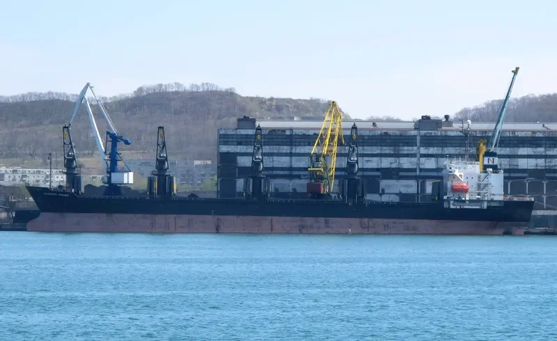 TAI FU Bulk Carrier IMO 9084231