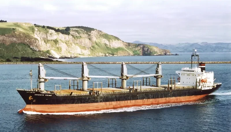 TAI FU Bulk Carrier IMO 9084231 photo 2