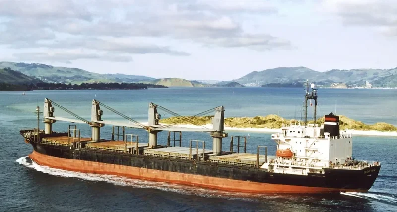 TAI FU Bulk Carrier IMO 9084231 photo 3