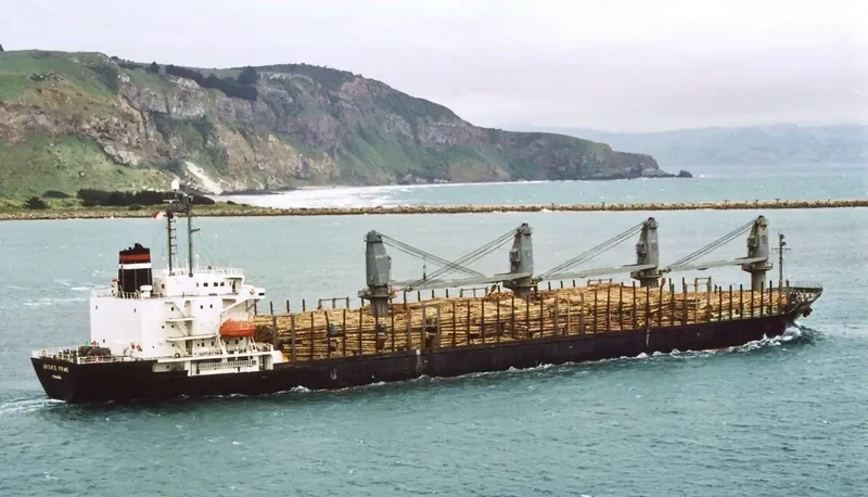 TAI FU Bulk Carrier IMO 9084231 photo 4