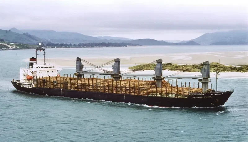 TAI FU Bulk Carrier IMO 9084231 photo 5