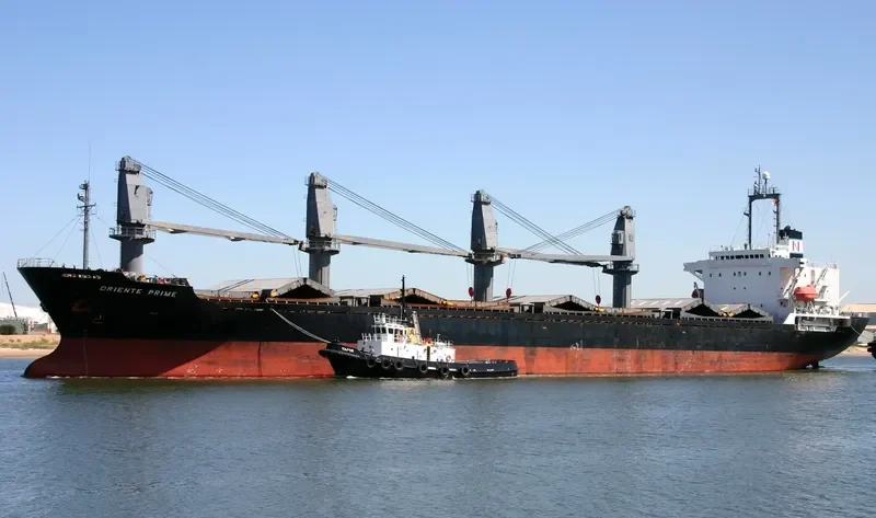 TAI FU Bulk Carrier IMO 9084231 photo 7