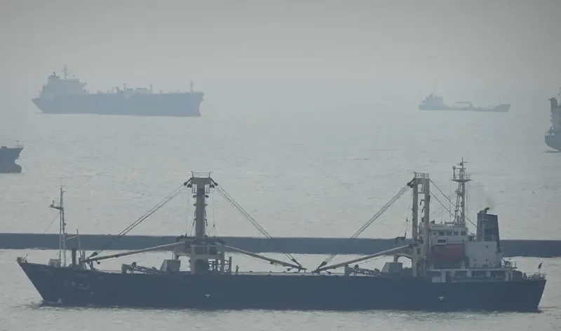 DONG YONG NO.8 General Cargo IMO 9085065