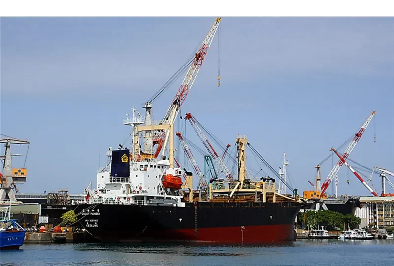 DONG YONG NO.8 General Cargo IMO 9085065 photo 3